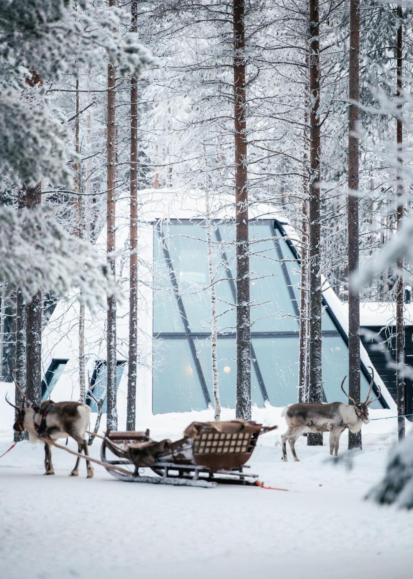 Glass Resort Rovaniemi Exteriör bild